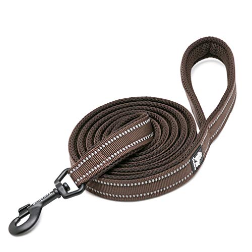 WINHYEPET Dog Leash Nylon Reflective Comfortable Handle Lead Puppy Training Walking Rope Easy Control Suitable Small Medium Large Breeds 110cm Length WHPEU32111 (Brown, L) von WINHYEPET