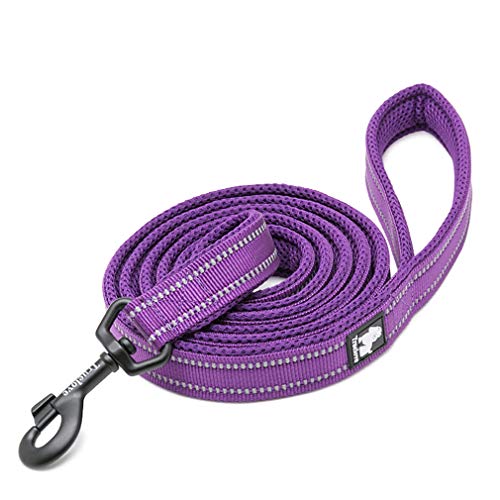 WINHYEPET Dog Leash Nylon Reflective Comfortable Handle Lead Puppy Training Walking Rope Easy Control Suitable Small Medium Large Breeds 110cm Length WHPEU32111 (Purple, L) von WINHYEPET