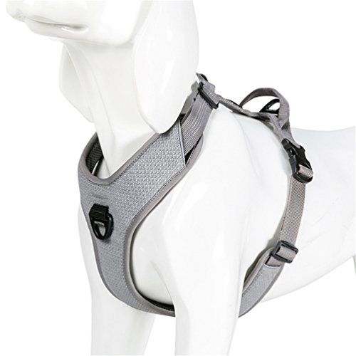 WINHYEPET True Love Hundegeschirr, kein Ziehen, vorne, Clip, Hundegeschirr, verstellbar, mit Griff, 4 Verstellpunkte, 3M-reflektierend,einfaches Kontrollieren beim Wandern WINHYEPET True Love Hundegeschirr, kein Ziehen, vorne, Clip, Hundegeschirr, verstellbar, mit Griff, 4 Verstellpunkte, 3M-reflektierend,einfaches Kontrollieren beim Wandern von WINHYEPET