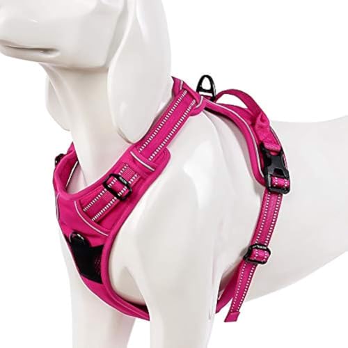 WINHYEPET Truelove Hundegeschirr No-Pull Reflektierendes verstellbar Haustiergeschirr mit 2 Leinenclips, einfachem Steuergriff für kleine, zum mittelgroße und große Hunde, TLH5651 WINHYEPET Truelove Hundegeschirr No-Pull Reflektierendes verstellbar Haustiergeschirr mit 2 Leinenclips, einfachem Steuergriff für kleine, zum mittelgroße und große Hunde, TLH5651 von WINHYEPET