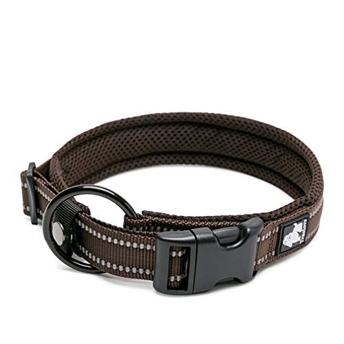 WINHYEPET True Love Hundehalsband Reflektierendes Sandwichfutter NylonWebbing Bequeme und sichere verstellbare Schnalle Praktisch für Outdoor-Sportarten für kleine/mittlere/große Halsringe TLC5011 WINHYEPET True Love Hundehalsband Reflektierendes Sandwichfutter NylonWebbing Bequeme und sichere verstellbare Schnalle Praktisch für Outdoor-Sportarten für kleine/mittlere/große Halsringe TLC5011 von WINHYEPET