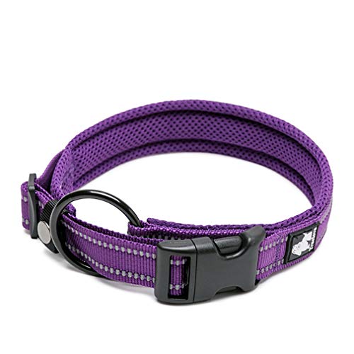 WINHYEPET True Love Hundehalsband Reflektierendes Sandwichfutter NylonWebbing Bequeme und sichere verstellbare Schnalle Praktisch für Outdoor-Sportarten für kleine/mittlere/große Halsringe TLC5011 WINHYEPET True Love Hundehalsband Reflektierendes Sandwichfutter NylonWebbing Bequeme und sichere verstellbare Schnalle Praktisch für Outdoor-Sportarten für kleine/mittlere/große Halsringe TLC5011 von WINHYEPET