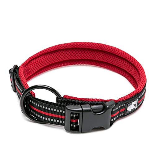 WINHYEPET True Love Hundehalsband Reflektierendes Sandwichfutter NylonWebbing Bequeme und sichere verstellbare Schnalle Praktisch für Outdoor-Sportarten für kleine/mittlere/große Halsringe TLC5011 WINHYEPET True Love Hundehalsband Reflektierendes Sandwichfutter NylonWebbing Bequeme und sichere verstellbare Schnalle Praktisch für Outdoor-Sportarten für kleine/mittlere/große Halsringe TLC5011 von WINHYEPET