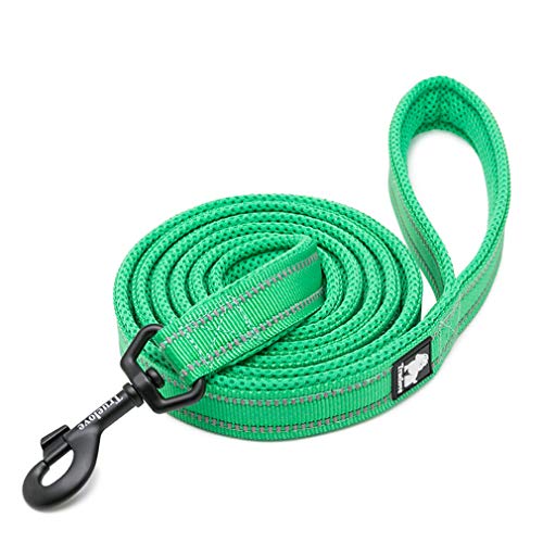 WINHYEPET Dog Leash Nylon Reflective Comfortable Handle Lead Puppy Training Walking Rope Easy Control Suitable Small Medium Large Breeds 110cm Length WHPEU32111 (Grass Green, S) von WINHYEPET