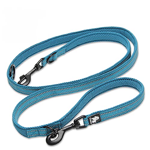 WINHYEPET True Love 7-in-1-Multifunktions-verstellbare Hundeleine, handfrei, Haustier-Trainingsleine, Nylon, reflektierend, bequem, Mehrzweck-Hundeleine TLL2411 (Blau, L) von WINHYEPET