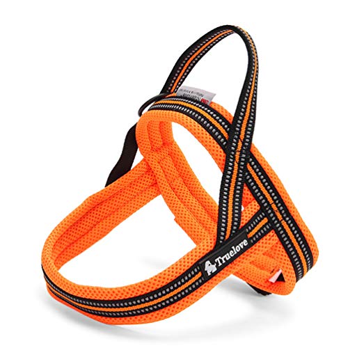 WINHYEPET True Love Hundegeschirr Nylon Band Komfortable Innere Sicherheit Reflektierende Streifen Bequem Einstellbare Einfache Kontrolle Haustier Hund Weste, TLH5811 WINHYEPET True Love Hundegeschirr Nylon Band Komfortable Innere Sicherheit Reflektierende Streifen Bequem Einstellbare Einfache Kontrolle Haustier Hund Weste, TLH5811 von WINHYEPET