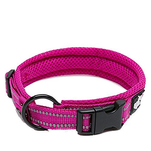 WINHYEPET True Love Hundehalsband Reflektierendes Sandwichfutter NylonWebbing Bequeme und sichere verstellbare Schnalle Praktisch für Outdoor-Sportarten für kleine/mittlere/große Halsringe TLC5011 von WINHYEPET