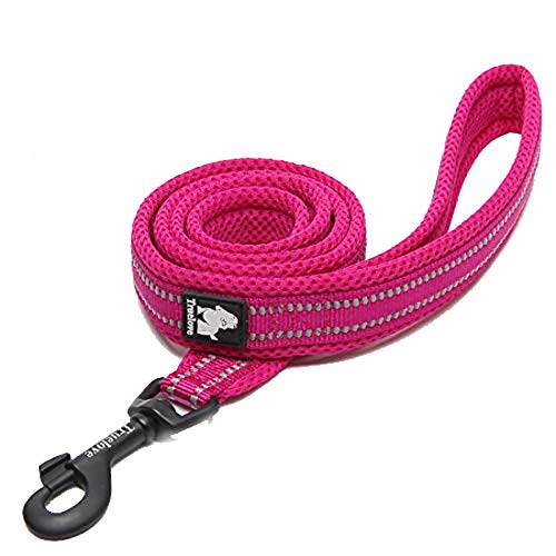 WINHYEPET True Love Hundeleine, Nylon, reflektierend, bequemer Griff, für Welpen, Training, Spazierengehen, einfache Kontrolle, geeignet für kleine mittelgroße und große Rassen, 110 cm Länge, TLL2111 von WINHYEPET