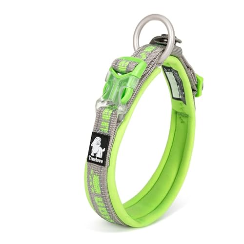 WINHYEPET True Love reflektierendes Hundehalsband, Nylon-Gurtband, bequem und sicher, verstellbare Schnalle, bequem zum Spazierengehen für kleine Hunde, Halsring TLC50121 (grau/grasgrün, XL) von WINHYEPET