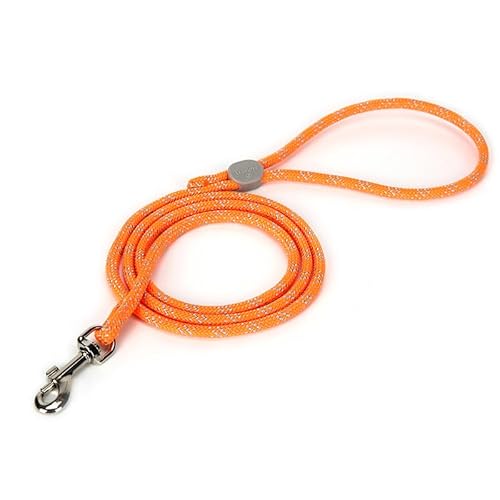 WINHYEPET TrueLove TLL2576 Hundeleine, leichtes Nylonseil, für kleine Hunde, Katzen, Outdoor, modisches Design WINHYEPET TrueLove TLL2576 Hundeleine, leichtes Nylonseil, für kleine Hunde, Katzen, Outdoor, modisches Design von WINHYEPET