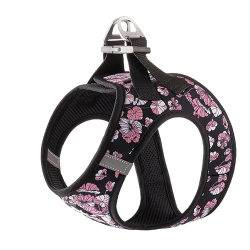 WINHYEPET Truelove Hundegeschirr, weiches Air-Mesh, verstellbar, reflektierend, Haustierweste, kleine und mittelgroße Rassen, kein Ziehen, verstellbares Hundegeschirr TLH3016 (Schwarz, Größe 3XS) von WINHYEPET