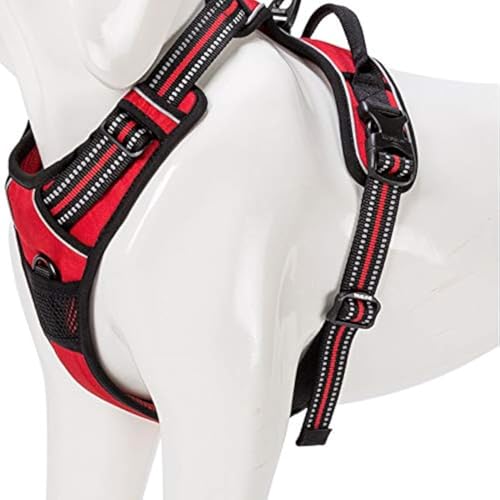 WINHYEPET Truelove Hundegeschirr No-Pull Reflektierendes verstellbar Haustiergeschirr mit 2 Leinenclips, einfachem Steuergriff für kleine, zum mittelgroße und große Hunde, TLH5651 WINHYEPET Truelove Hundegeschirr No-Pull Reflektierendes verstellbar Haustiergeschirr mit 2 Leinenclips, einfachem Steuergriff für kleine, zum mittelgroße und große Hunde, TLH5651 von WINHYEPET