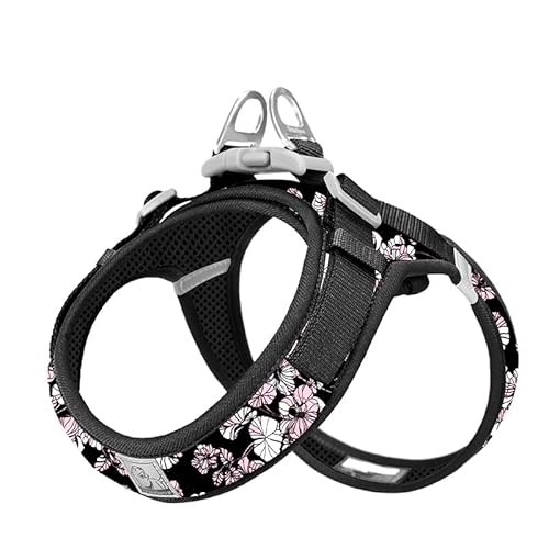 WINHYEPET Truelove Hundegeschirr aus weichem Netz, reflektierend und atmungsaktiv, Hundegeschirr mit einfacher Gehung, mit Sicherheitsschnalle für kleine TLH30131 WINHYEPET Truelove Hundegeschirr aus weichem Netz, reflektierend und atmungsaktiv, Hundegeschirr mit einfacher Gehung, mit Sicherheitsschnalle für kleine TLH30131 von WINHYEPET