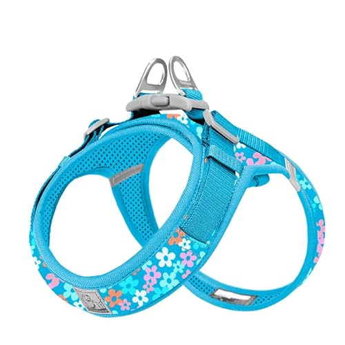 WINHYEPET Truelove Hundegeschirr aus weichem Netz, reflektierend und atmungsaktiv, Hundegeschirr mit einfacher Gehung, mit Sicherheitsschnalle für kleine TLH30131 WINHYEPET Truelove Hundegeschirr aus weichem Netz, reflektierend und atmungsaktiv, Hundegeschirr mit einfacher Gehung, mit Sicherheitsschnalle für kleine TLH30131 von WINHYEPET