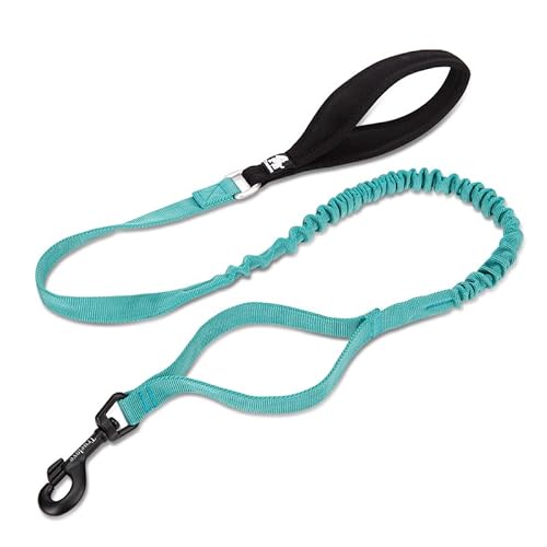 WINHYEPET Truelove TLL2281 Hundeleine, flexibel, explosionsgeschützt, elastisches Seil, kontrolliert, groß, stark und stark, kompatibel mit allen Truelove Geschirre und Halsbändern WINHYEPET Truelove TLL2281 Hundeleine, flexibel, explosionsgeschützt, elastisches Seil, kontrolliert, groß, stark und stark, kompatibel mit allen Truelove Geschirre und Halsbändern von WINHYEPET