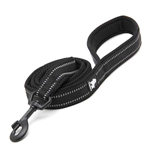 WINHYEPET Dog Leash for Reflective Puppy Walking Training Length 200 cm WHPEU32111 (200) von WINHYEPET