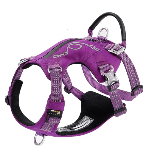 WINHYEPET YH1811 Hundegeschirr, ausbruchsicher, mit Reißverschlusstasche, taktische Hundeweste, Geschirr und einfache Kontrolle, Trainingsrucksack, Militärrucksack (Violett, XS) von WINHYEPET