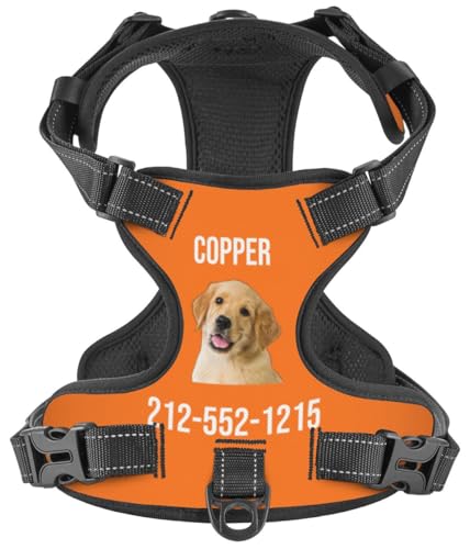 WINKEEY Hundegeschirr Personalisiert Geschirr Hund Sicherheitsgeschirr Welpengeschirr Brustgeschirr Mit Namen Telefonnummer anti zug, atmungsaktiv, reflektierend Für Kleine Mittelgroße und Große Hunde von WINKEEY