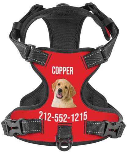 WINKEEY Hundegeschirr Personalisiert Geschirr Hund Sicherheitsgeschirr Welpengeschirr Brustgeschirr Mit Namen Telefonnummer anti zug, atmungsaktiv, reflektierend Für Kleine Mittelgroße und Große Hunde von WINKEEY