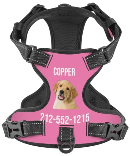 WINKEEY Hundegeschirr Personalisiert Geschirr Hund Sicherheitsgeschirr Welpengeschirr Brustgeschirr Mit Namen Telefonnummer anti zug, atmungsaktiv, reflektierend Für Kleine Mittelgroße und Große Hunde von WINKEEY