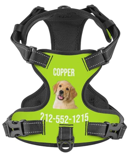 WINKEEY Hundegeschirr Personalisiert Geschirr Hund Sicherheitsgeschirr Welpengeschirr Brustgeschirr Mit Namen Telefonnummer anti zug, atmungsaktiv, reflektierend Für Kleine Mittelgroße und Große Hunde von WINKEEY