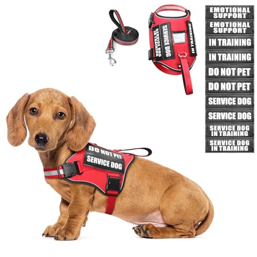 WINSEE Service Hundegeschirr und Leine, Trainingsweste mit 10 Klettverschluss-Patches, emotionale Unterstützung, Therapie, Hundegeschirr für kleine, mittelgroße und extra große Hunde (Rot, XS) von WINSEE