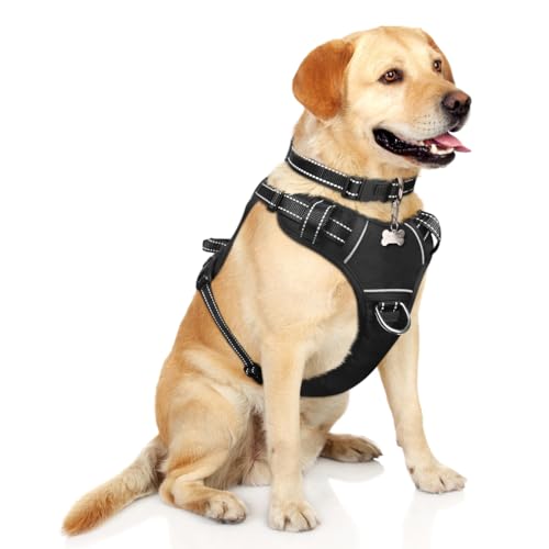 WINSEE Hundegeschirr, kein Ziehen, Haustiergeschirr mit Hundehalsband, verstellbare, reflektierende OxfordOutdoorWeste, vorne hinten Leinenclips für kleine, mittelgroße, extra große Hunde, WINSEE Hundegeschirr, kein Ziehen, Haustiergeschirr mit Hundehalsband, verstellbare, reflektierende OxfordOutdoorWeste, vorne hinten Leinenclips für kleine, mittelgroße, extra große Hunde, von WINSEE