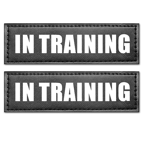 WINSEE Reflektierende Service-Hunde-Patches in Trainings-Patch für Service-Weste, Hundegeschirr (2 Stück, L) von WINSEE