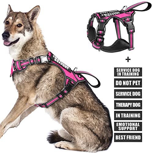 WINSEE Service Dog Vest No Pull Dog Harness with 7 Dog Patches, Reflective Pet Harness with Durable Soft Padded Handle for Puppies, Small, Medium, Large, and Extra Large Dogs von WINSEE