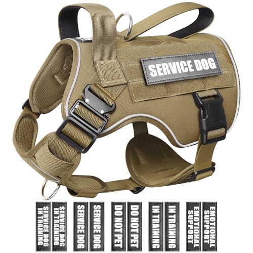 WINSEE Taktisches Hundegeschirr für große Hunde, MOLLE-Weste mit 10 Haustier-Patches, 2 x Metallschnalle, robustes Geschirr für Training, Jagd, Spazierengehen WINSEE Taktisches Hundegeschirr für große Hunde, MOLLE-Weste mit 10 Haustier-Patches, 2 x Metallschnalle, robustes Geschirr für Training, Jagd, Spazierengehen von WINSEE