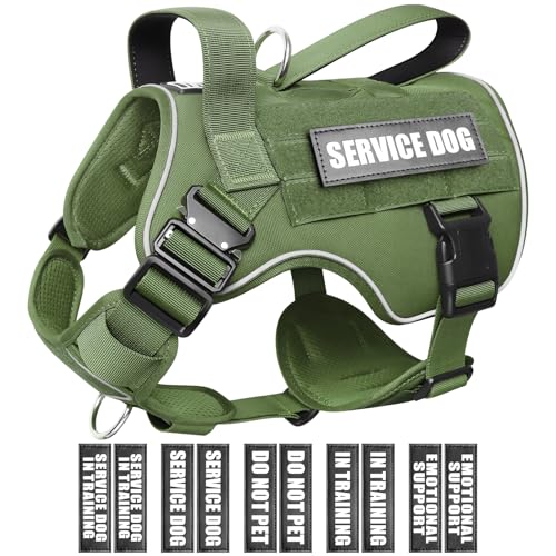 WINSEE Taktisches Hundegeschirr für große Hunde, MOLLE-Weste mit 10 Haustier-Patches, 2 x Metallschnalle, robustes Geschirr für Training, Jagd, Spazierengehen WINSEE Taktisches Hundegeschirr für große Hunde, MOLLE-Weste mit 10 Haustier-Patches, 2 x Metallschnalle, robustes Geschirr für Training, Jagd, Spazierengehen von WINSEE