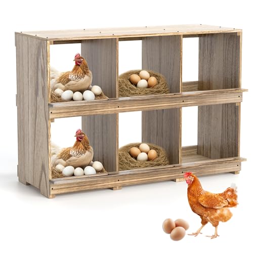 Nistkästen für Hühner, Holz Hühner Nisteier Legebox Hühner Nistkästen Wandmontage 6 Fach Nistkästen für Hühner, Holz Hühner Nisteier Legebox Hühner Nistkästen Wandmontage 6 Fach von WISDOMRAINBOW