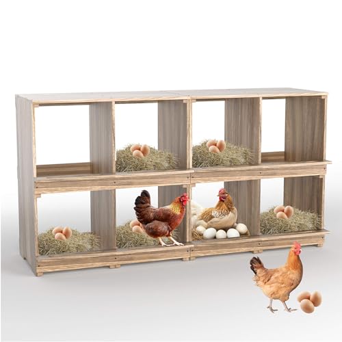 Nistkästen für Hühnerstall Hühnerstall Holz Hühner Nisteier Legebox Hühner Nistkästen Wandmontage 8 Fach Nistkästen für Hühnerstall Hühnerstall Holz Hühner Nisteier Legebox Hühner Nistkästen Wandmontage 8 Fach von WISDOMRAINBOW