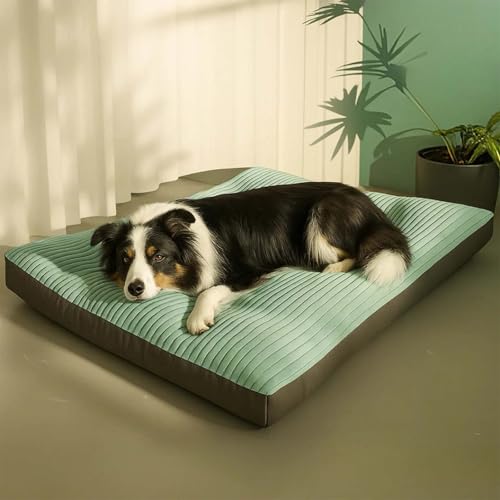 WIWIDANG Mondpfote Orthocloud Pro – Orthopädisches Hundebett mit Ergonomischer Gelenkunterstützung, Abnehmbarem Bezug & Extra Weicher Polsterung – Ideal für Große & ältere Hunde (Grün, M) von WIWIDANG