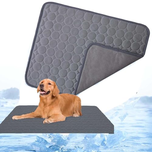 WIWIDANG Nordseepfote Kühlmatte für den Sommer, KüHlmatte Hund SelbstküHlend, Atmungsaktive kühldecke für Hunde und Katze mit 3D-Mesh Waschbar KüHldecke für Hunde (Dunkelgrau, XXL (150 x 100cm)) WIWIDANG Nordseepfote Kühlmatte für den Sommer, KüHlmatte Hund SelbstküHlend, Atmungsaktive kühldecke für Hunde und Katze mit 3D-Mesh Waschbar KüHldecke für Hunde (Dunkelgrau, XXL (150 x 100cm)) von WIWIDANG