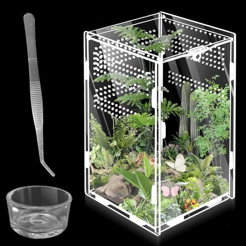 360 ° Acryl Terrarium Schnecken Terrarium: WIYETY Mini Transparent Acryl Terrarium, Reptil Fütterungsbox, Critter Box für Spide, Skorpion, Käfer, Gottesanbeterin, Reptilien Lebensraum(20x12x12cm) von WIYETY