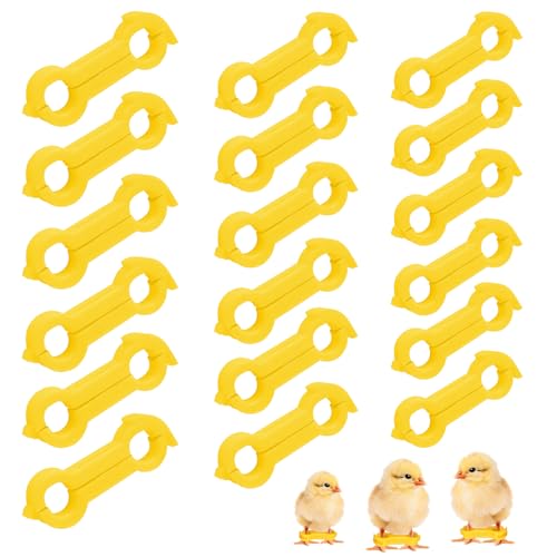 WIYETY 18 Stück Vogelbeinorthese Küken Beinspange 4mm/5mm/6mm Kükenbeinbandage Geflügelbeinbänder für Vögel, Papageien, Stare, Spreizbein Hüpfer Klammer, Ausrichtungshilfe von WIYETY