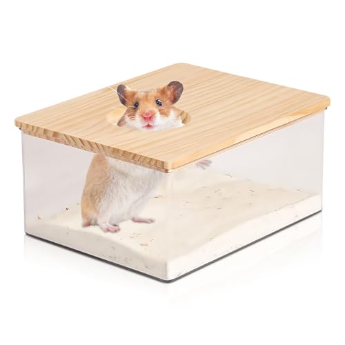 WIYETY Acryl Haustier Hamster Sandbad: Hamster Badebox, Hamster Duschraum Zubehör mit Halbabdeckung aus Massivholz, Hamster Toilette für Chinchilla, Goldene Bären, Gerbil(21x15.5x10cm) von WIYETY
