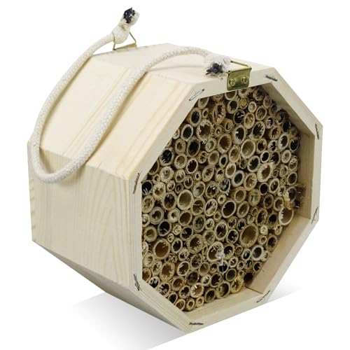 WIYETY Bienenhotel Insektenhotel aus Holz: Wildbienenhaus zum Hängen, Nisthilfe für Wildbienen, Insektenhaus für Bienen, Marienkäfer & Florfliegen, 15.5 x 15 x 9cm WIYETY Bienenhotel Insektenhotel aus Holz: Wildbienenhaus zum Hängen, Nisthilfe für Wildbienen, Insektenhaus für Bienen, Marienkäfer & Florfliegen, 15.5 x 15 x 9cm von WIYETY
