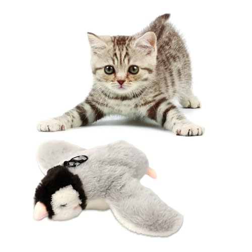 WIYETY Elektrisch Pinguin Interaktives Katzenspielzeug: Wiederaufladbar Katzenspielzeug, Niedlich Pluesch Lebensecht Pinguinform, Katzenspielzeug Kauspielzeug, Katzenspielzeug für Wohnungskatzen WIYETY Elektrisch Pinguin Interaktives Katzenspielzeug: Wiederaufladbar Katzenspielzeug, Niedlich Pluesch Lebensecht Pinguinform, Katzenspielzeug Kauspielzeug, Katzenspielzeug für Wohnungskatzen von WIYETY
