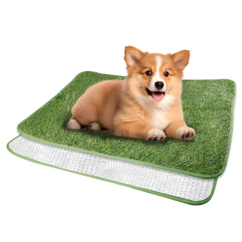 WIYETY Hundeklo Kunstrasen Hundetoilette, 40x60cm Welpentoilette Trainingsunterlage, Training Pee Pads, Waschbar Hunde Training Rasenmatte, Wasserdicht Hundetoilette für Zuhause, Wohnung WIYETY Hundeklo Kunstrasen Hundetoilette, 40x60cm Welpentoilette Trainingsunterlage, Training Pee Pads, Waschbar Hunde Training Rasenmatte, Wasserdicht Hundetoilette für Zuhause, Wohnung von WIYETY