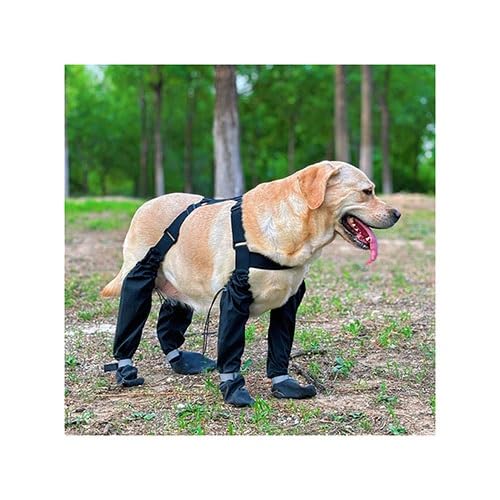 Hosenträgerstiefel for Hunde, Hundestiefel, rutschfest Und Wasserdicht, Hundeschuhe, Leggings, Verstellbarer Pfotenschutz for Große Hunde, Winter, Schnee, Regen, Wandern(XS) von WJJKJH