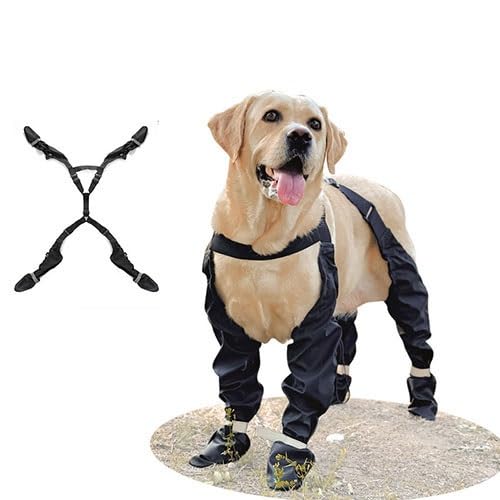 Hundestiefel Mit Hosenträgern, wasserdichte Hunderegenstiefel, Welpen-Schneeschuhe for Den Winter, Anti-Schmutz-Hose Mit Schuhen(XS) von WJJKJH