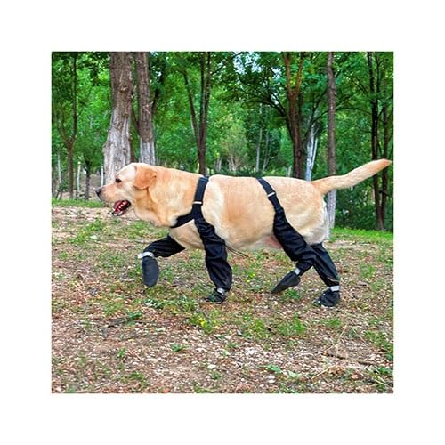 Hundestiefel Mit Hosenträgern, wasserdichte Hunderegenstiefel, Welpen-Schneeschuhe for Den Winter, Anti-Schmutz-Hose Mit Schuhen, Verstellbare Hosenträgerhose(4XL) von WJJKJH