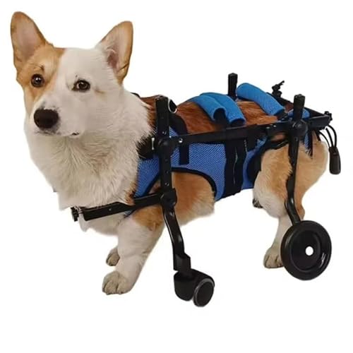 WJJKJH 1 Stück Haustier-Rollstuhlwagen, Verstellbar, for Haustiere, Katzen Und Hunde, Rehabilitations-Laufräder, Mobilitätshilfe, Leichtes Haustier-Spazierwerkzeug(M) von WJJKJH