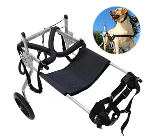 WJJKJH 2025 Verbesserter Hunderollstuhl for Hinterbeine, Kleiner Rollstuhl for Hunde Mit Behinderten Hinterbeinen, for Gehen, Verstellbare Hundewagen Mit Rädern(M) von WJJKJH