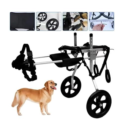 WJJKJH Aktualisierter Hunderollstuhl for Die Hinterbeine, Kleine Hunderollstuhlwagen Mit Rädern, Leichter Rollstuhl Zur Beinunterstützung Hilft Älteren, Verletzten(M) von WJJKJH