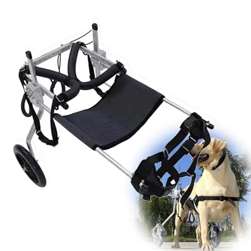 WJJKJH Großer Hunderollstuhl for Die Hinterbeine Mit Zugseil for Haustiere – Verstellbarer Wagen Zur Unterstützung Der Hinterbeine Mit Atmungsaktivem Air-Mesh-Geschirr(Large) von WJJKJH