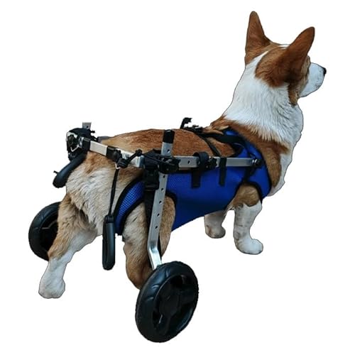 WJJKJH Haustier-Rollstuhl, Hunde-Rollstuhl, Hintergliedmaßenlähmung, Behinderte, Ältere Haustiere, Roller, Hunderehabilitation, Gehhilfe, Fahrzeug(S/8KG) von WJJKJH