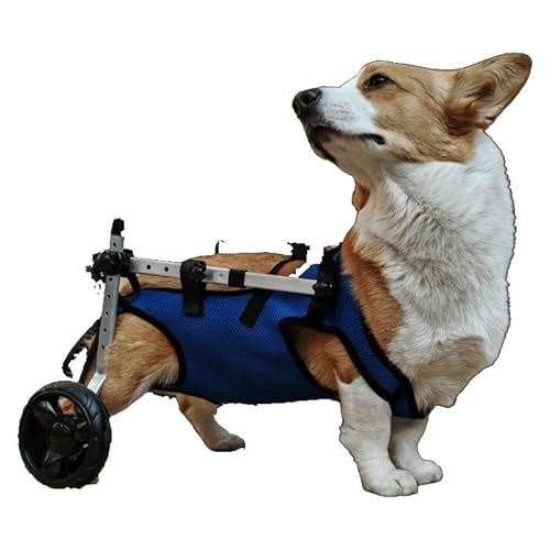 WJJKJH Haustier-Rollstuhlwagen, Verstellbare Mobilitätshilfen for Haustiere Mit Rädern, Behinderte Katzen- Und Hunderehabilitation, Gehmobilitätshilfe, Troll(M/12KG) von WJJKJH
